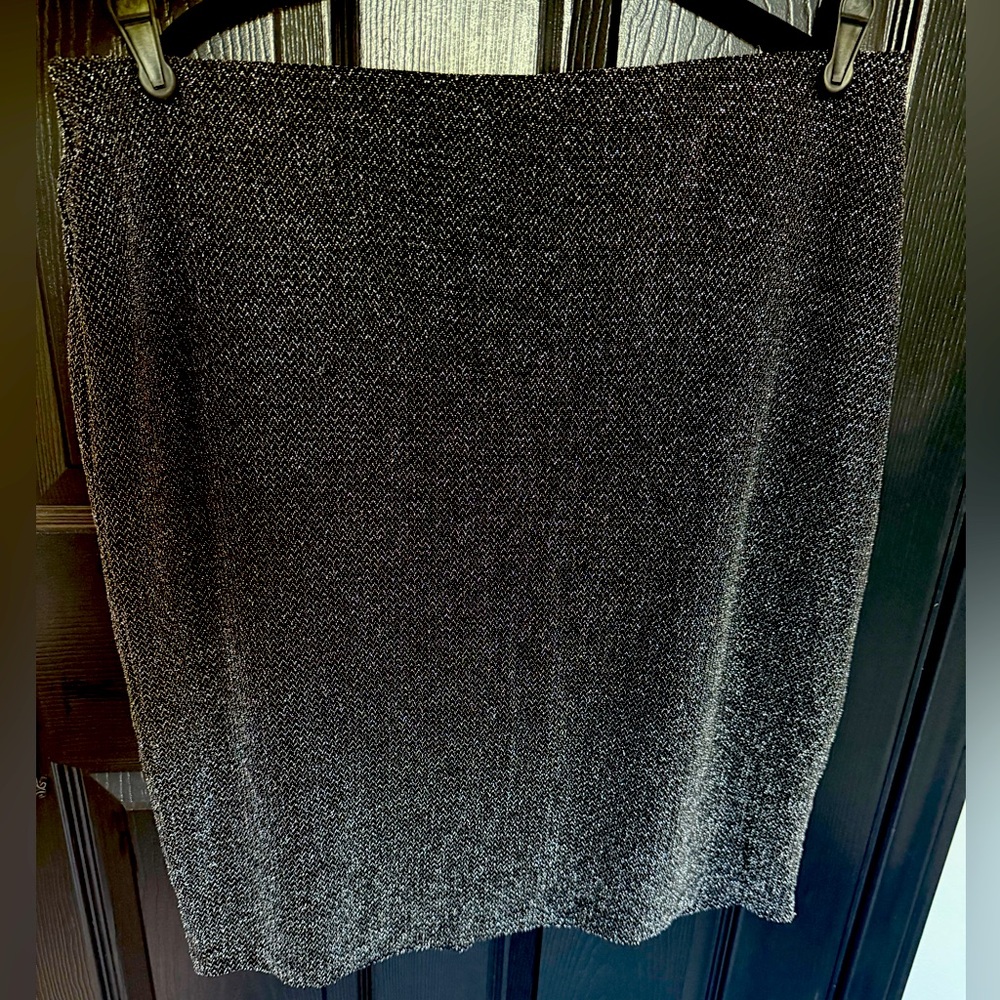 EUC Jaclyn Smith Collection Black With Silver Skirt Knee-Length Size XXL